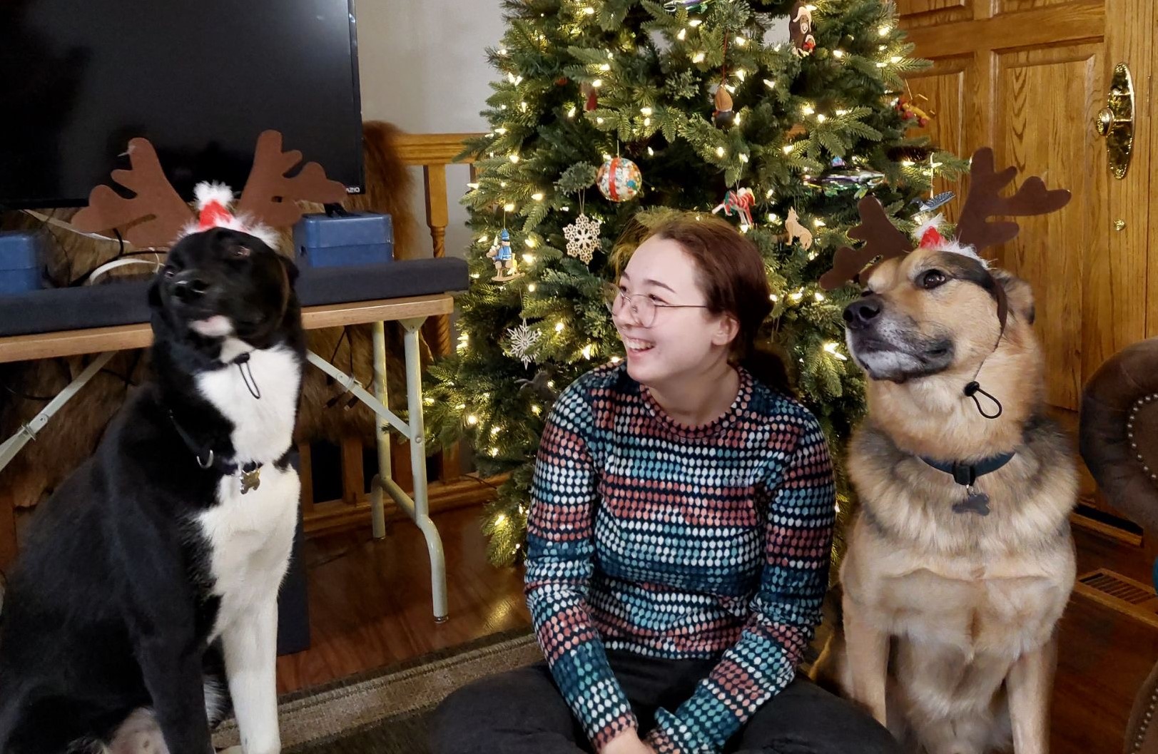 Olivia with dogs at Christmas